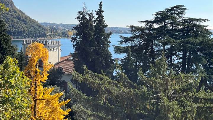 AFFITTIAMO APPARTAMENTO 2 CAMERE VISTA LAGO - GARDA